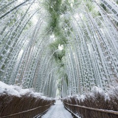 Snowfall (Instrumental Beat)