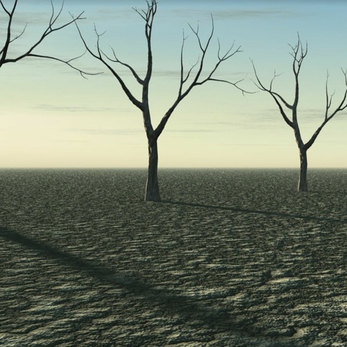 Screaming Trees