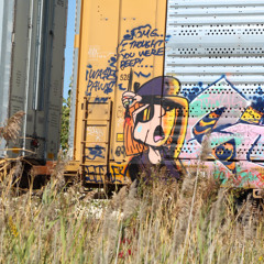 Loop DIggers SRC 229 Trk 2 - We're Goin Back