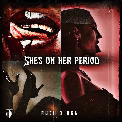 NGL - SHE'S ON HER PERIOD  [TMTDL21]