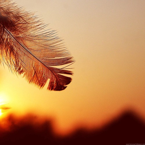 SUMMER FLING WarmUp Disco Revibes Vol.4