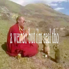 я ломаю мозг в попытках