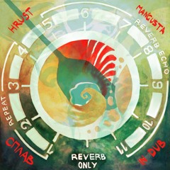 СПЛАВ in Dub (mixtape)