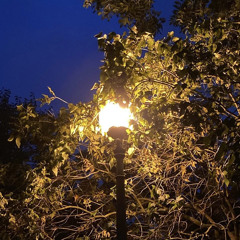 сказка грёз