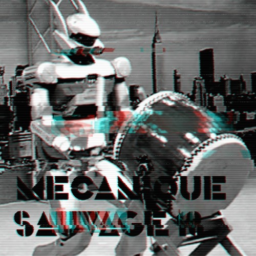 mécanique_sauvage_10