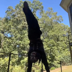 ilykevn - bounce (looped snippet)