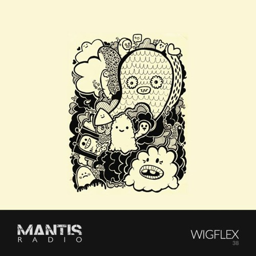 Mantis Radio 38 - Wigflex