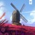 Artwork for Flower Fields