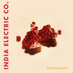 India Electric Co. - Pomegranate