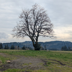 I don't (Produced by anticøn)