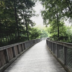 waloheights - schemes prod fish$cale #nature