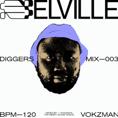 Selville Diggers 003 - VokzMan (The Deep House Space)