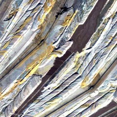 Deep Year - November 2019