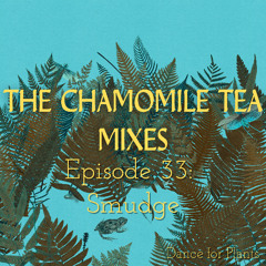 Dance for Plants, The Chamomile Tea Mix Series: Episode #33 - Smudge