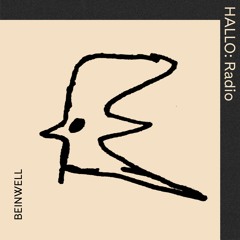 BEINWELL - 13/08