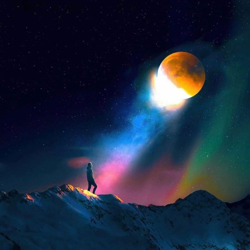 Mocongo & Monk - Session2