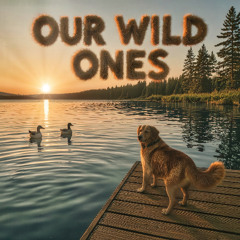 Our Wild Ones