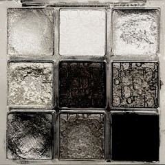 Lizard in the Spring – A Quick One Before the Eternal Worm Devours Appalachia