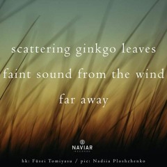 Scattering Leaves (NaviarHaiku423)