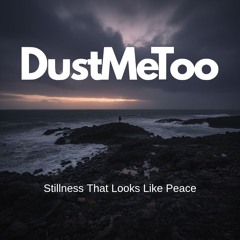 Stillness That Looks Like Peace