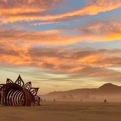 NØT THAT @ Raised By Wolves - Amapiano Set - Burning Man 2022