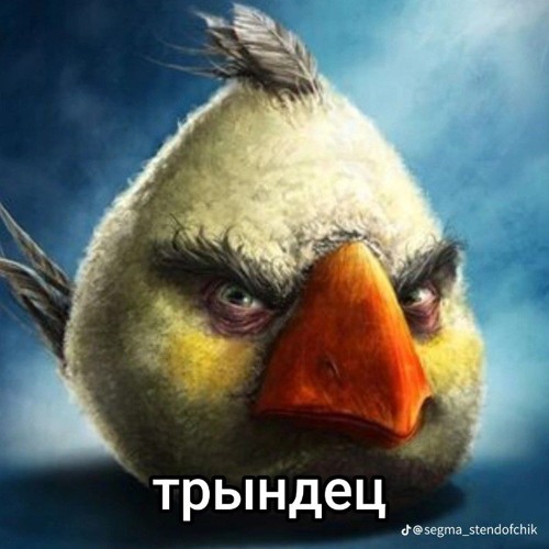 montagem premonição do vaia vaia (Slowed)