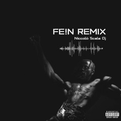 FE!N RMX (Niccolo Scala Dj)