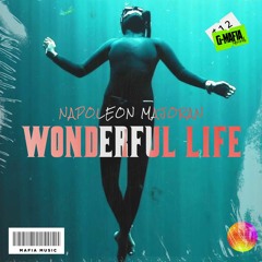 Napoleon Majoran - Wonderful Life (Original Mix)[G-MAFIA RECORDS]