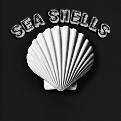 Sea Shells VIP