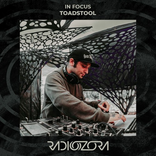 TOADSTOOL | In Focus | 12/02/2022