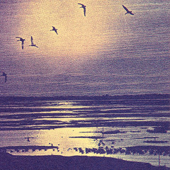 Sounds Of The Dawn - Canadian New Age Special 041123