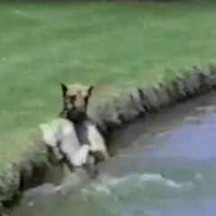 plane crash in paradise w/ UweJockel386