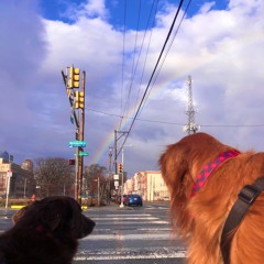 i'm so glad u chose me