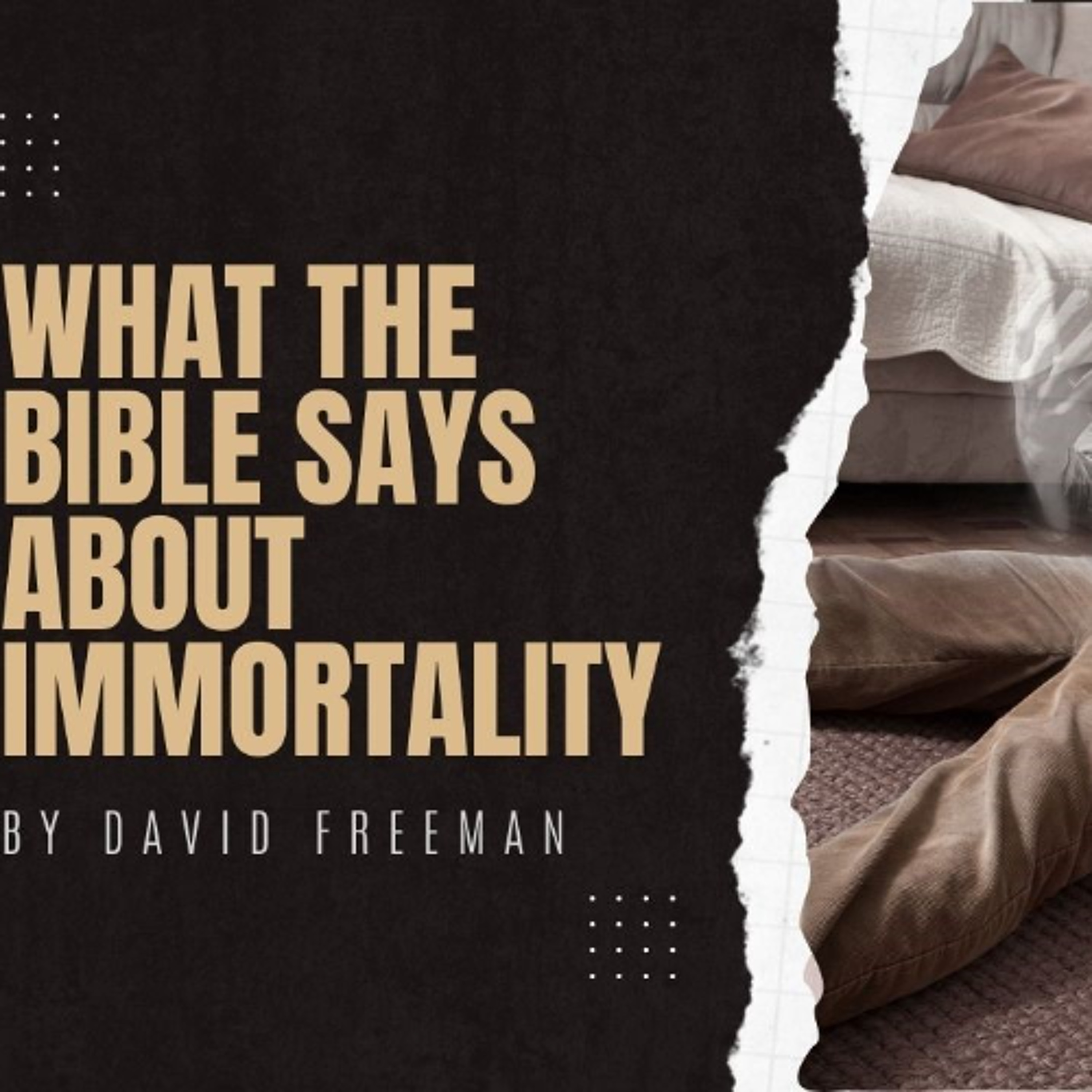 Is That Rally In The Bible? 7-What the Bible says about immortality. By David Freeman episode artwork