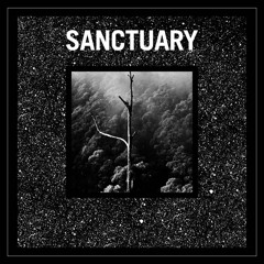 Preview * Sanctuary - Various -  ANGLS Records