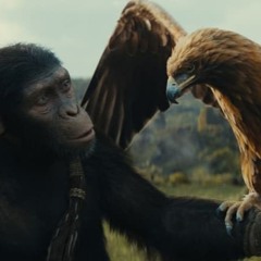 Repelis! . El reino del planeta de los simios — (La Película: Mp4 2024)! En Español _ CUEVANA 3