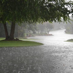 EXPORT.Dont-stop-the-rain-9_2