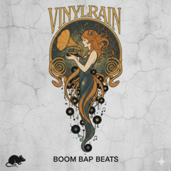 Shadow Loop Echo Boom Bap Instrumental Beat