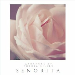 Senorita (Instrumental Mix)