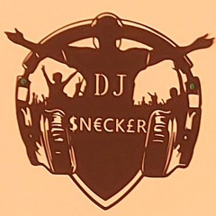 djsnecker  santiano  vs polizai2025-04-18_10h52m54.wav