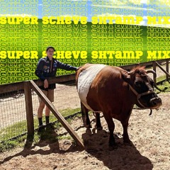 Super Scheve Shtamp Mix