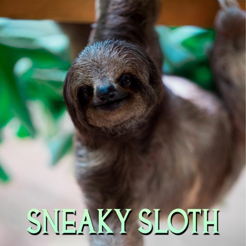 Sneaky Sloth