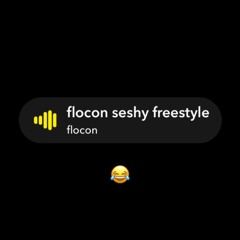 flocon - Seshy (Freestyle)