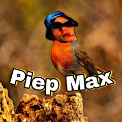 Pieip MaxE