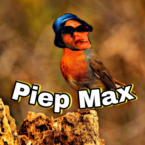 Pieip MaxE
