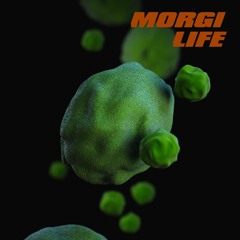 TH407 Morgi_Life