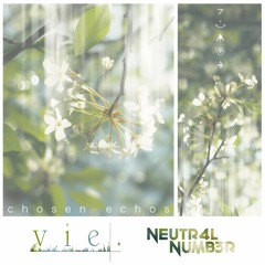 VIE. X Neutr4l Numb3r - chosen echos