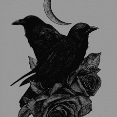 Nu Dawn