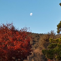 Autumn (Fall) Equinox - Guided Meditation & Yoga Nidra