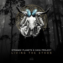 Strange Planets & Kaya Project - Living The Ethos 160 BPM(Demo)